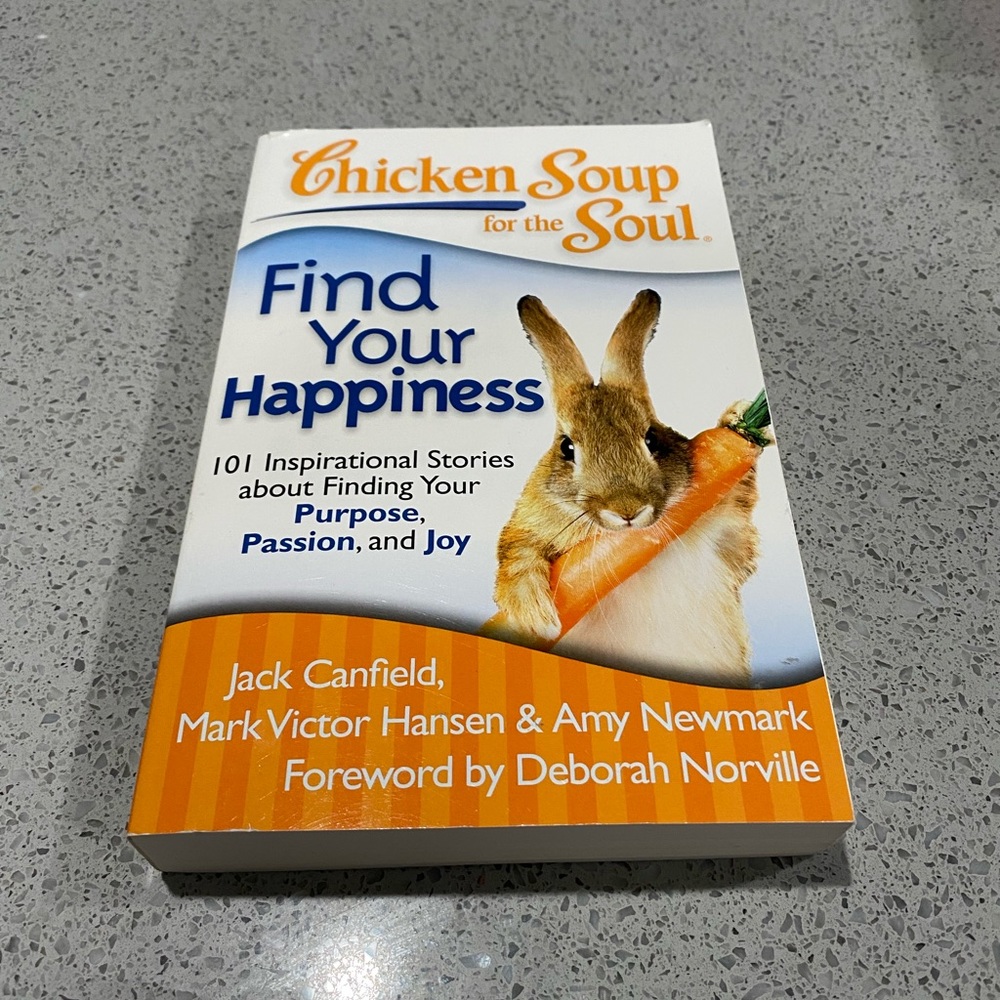 Chicken Soup for the Soul: Find Your Happiness